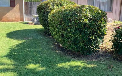 Photo of Jack B.'s yard after getting landscaping in Sanger, CA