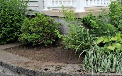 Photo of Anna S.'s yard after getting landscaping in Akron, OH