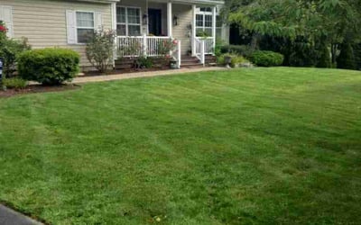 Photo of Susuana A.'s yard after getting lawn care in Manorville, NY