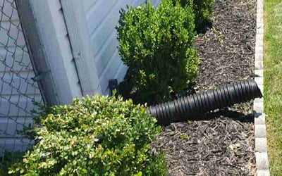 Photo of Nancy R.'s yard after getting landscaping in Taylors, SC