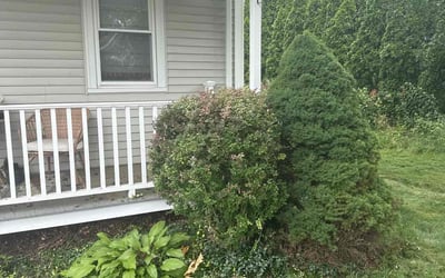 Photo of Susan P.'s yard after getting landscaping in Farmington, CT