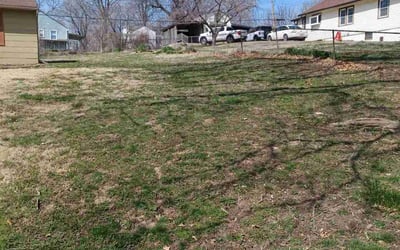 Photo of Eric T.'s yard after getting landscaping in Cameron, MO