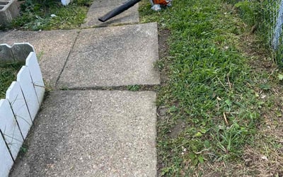 Photo of Dorothy E.'s yard after getting tree care in Coatesville, PA