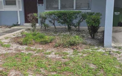 Photo of Mark S.'s yard after getting tree care in Hallandale, FL