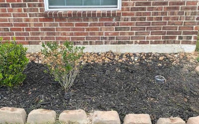 Photo of April W.'s yard after getting landscaping in Old Ocean, TX
