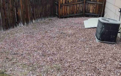 Photo of Heather B.'s yard after getting landscaping in Nederland, CO