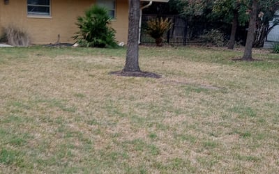 Photo of Pete M.'s yard after getting landscaping in Christine, TX