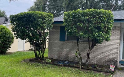 Photo of Tiffany S.'s yard after getting landscaping in Ponte Vedra, FL
