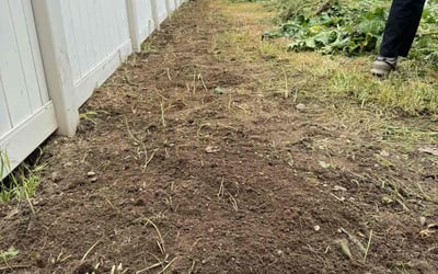 Photo of Pat B.'s yard after getting landscaping in Parma, ID