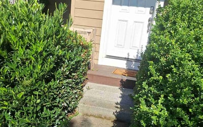 Photo of Judy R.'s yard after getting tree care in Spokane, WA