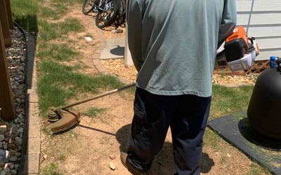 Photo of Ronald J.'s yard after getting landscaping in Sunny Side, GA