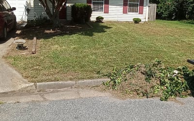Photo of Thomas M.'s yard after getting landscaping in Foster, VA