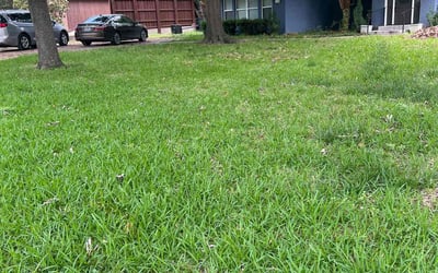 Photo of Judith F.'s yard after getting landscaping in Avalon, TX