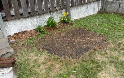Photo of Marilyn M.'s yard after getting landscaping in Chisago City, MN