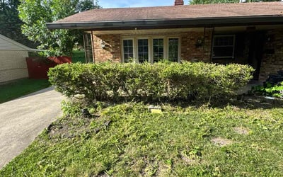 Photo of Susan P.'s yard after getting landscaping in Dayton, OH