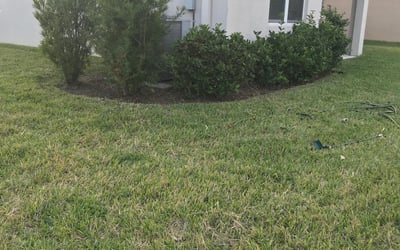 Photo of Mark J.'s yard after getting tree care in Gibsonton, FL