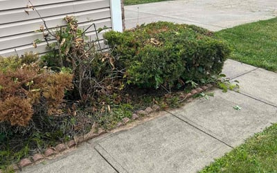 Photo of Donald B.'s yard after getting landscaping in Georgetown, OH