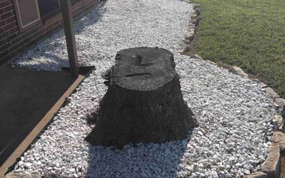 Photo of Christopher M.'s yard after getting landscaping in Lewisville, TX