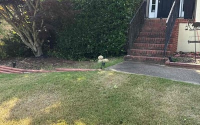 Photo of Chris M.'s yard after getting landscaping in Marietta, GA
