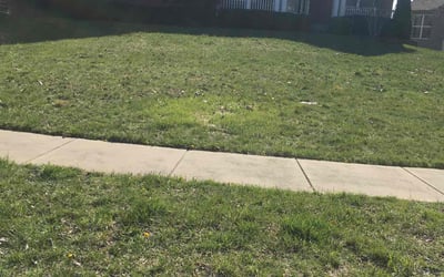 Photo of Stephanie S.'s yard after getting landscaping in Ripley, OH