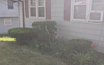 Photo of Sylvia D.'s yard after getting landscaping in Guilford, CT