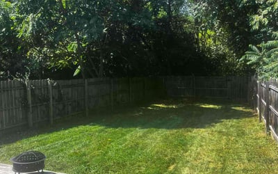 Photo of Stephanie B.'s yard after getting landscaping in Oxford, OH
