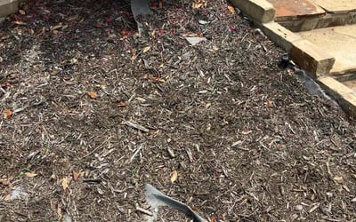 Photo of Jaime P.'s yard after getting landscaping in Forth Worth, TX