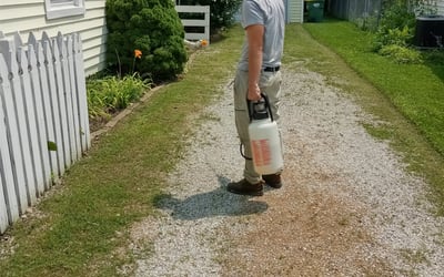 Photo of April F.'s yard after getting landscaping in Trafalgar, IN