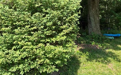 Photo of Kelly S.'s yard after getting landscaping in Aurora, OH