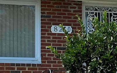 Photo of Sal S.'s yard after getting tree care in Olney, MD