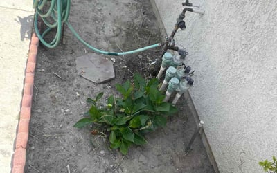 Photo of Clarence W.'s yard after getting landscaping in Fontana, CA