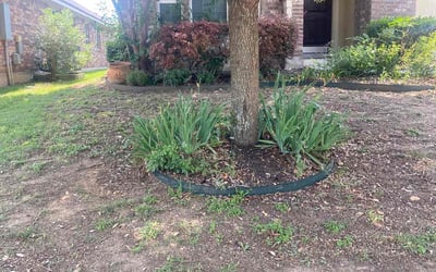 Photo of Samuel B.'s yard after getting landscaping in Boerne, TX