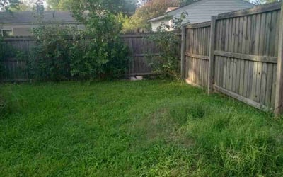 Photo of Joshua H.'s yard after getting landscaping in Sunbury, NC