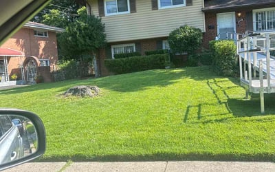 Photo of R. F.'s yard after getting tree care in Stafford, VA