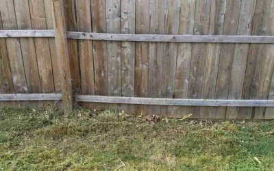 Photo of Shawnett J.'s yard after getting landscaping in Dupont, CO