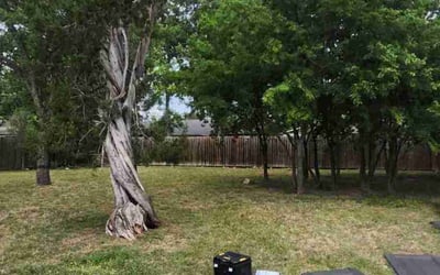 Photo of Joey B.'s yard after getting landscaping in Luling, TX