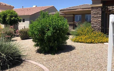 Photo of Larry L.'s yard after getting tree care in Tolleson, AZ
