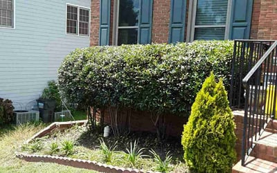 Photo of Max S.'s yard after getting landscaping in Lilburn, GA