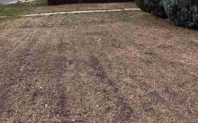 Photo of Charles B.'s yard after getting landscaping in Deer Trail, CO