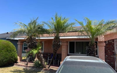 Photo of Vanessa P.'s yard after getting tree care in Arroyo Grande, CA