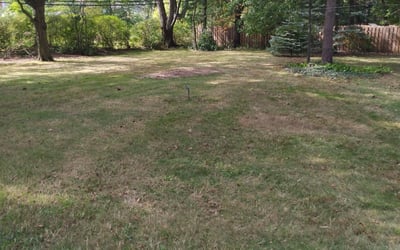 Photo of Karl S.'s yard after getting landscaping in Newbury, OH