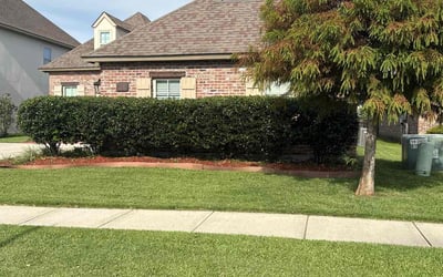 Photo of Beverly C.'s yard after getting landscaping in Zachary, LA