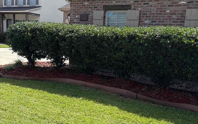 Photo of Beverly C.'s yard after getting landscaping in Zachary, LA