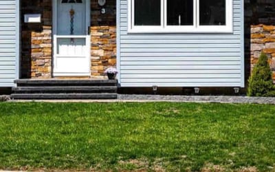 Photo of Henry G.'s yard after getting lawn care in Trenton, NJ