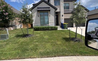 Photo of Sarah L.'s yard after getting landscaping in Utopia, TX