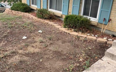 Photo of Lee B.'s yard after getting landscaping in Shawnee, CO