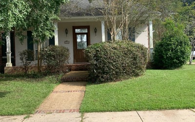 Photo of Jessica S.'s yard after getting landscaping in Maurepas, LA