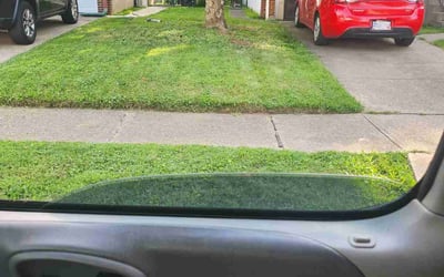 Photo of Richard H.'s yard after getting landscaping in Kings Mills, OH