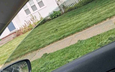 Photo of Lauren R.'s yard after getting landscaping in Cuyahoga Falls, OH