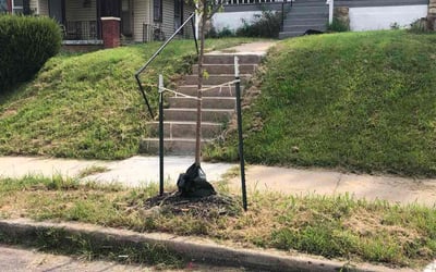 Photo of Steven G.'s yard after getting landscaping in Kansas City, MO